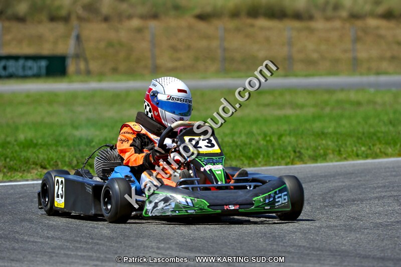 DSC_ (1473).jpg